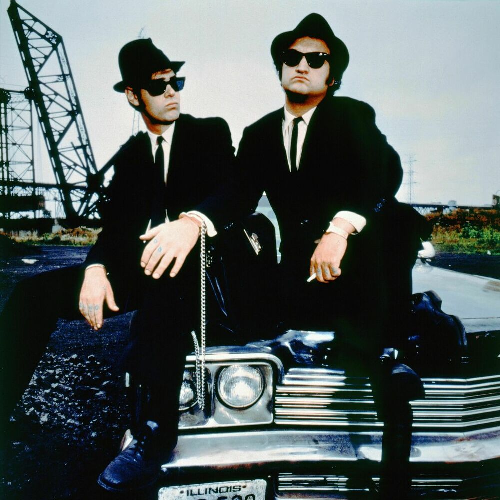 Picture of The Blues Brothers