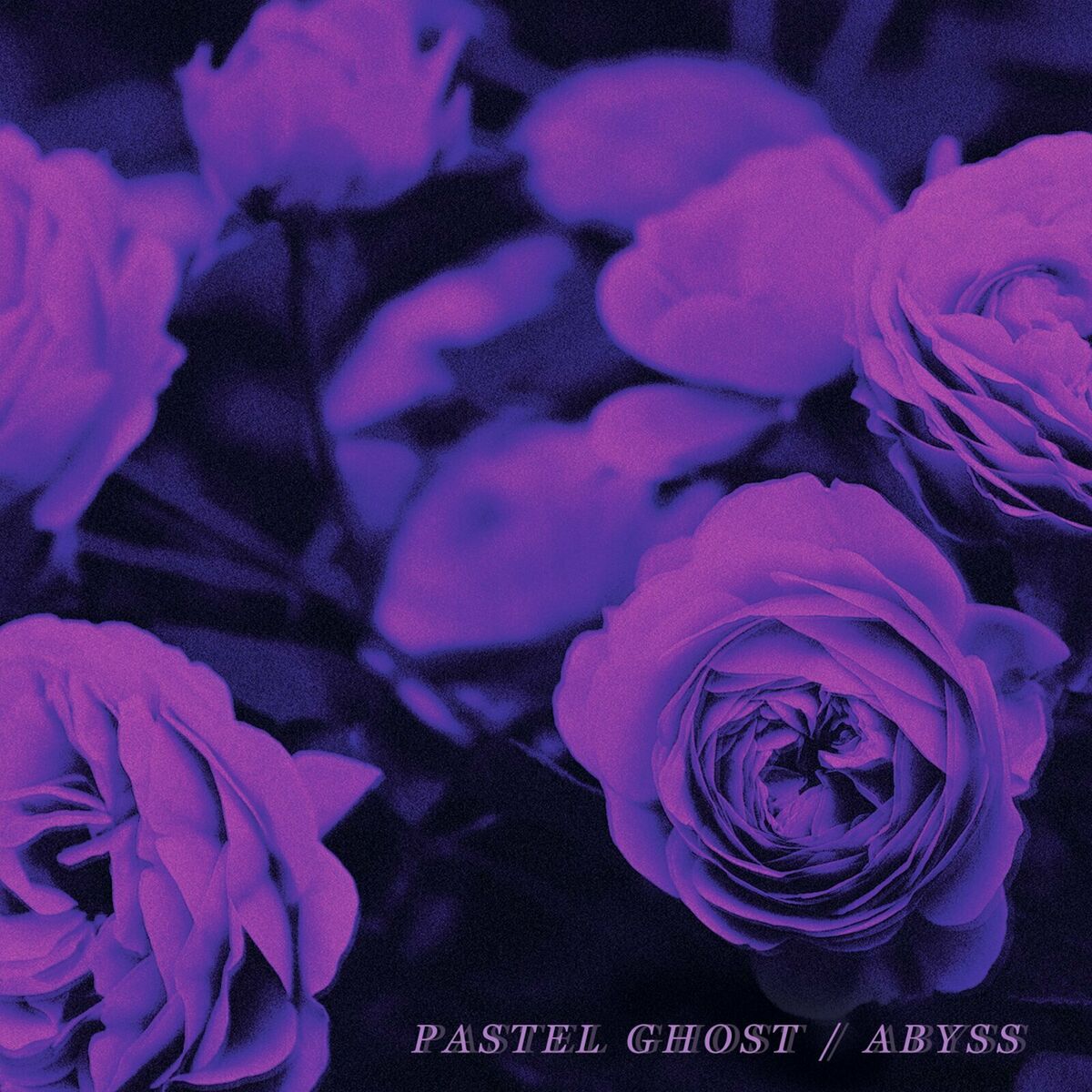 Artist picture of Pastel Ghost