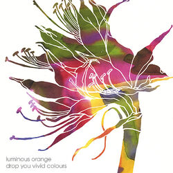 Picture of Luminous Orange