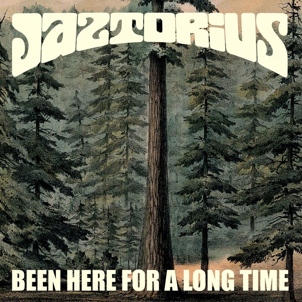 Picture of Jaztorius