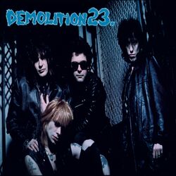 Picture of Demolition 23
