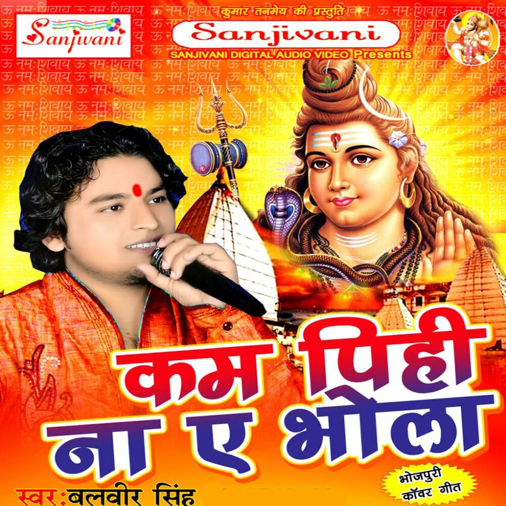 Picture of Balveer Singh