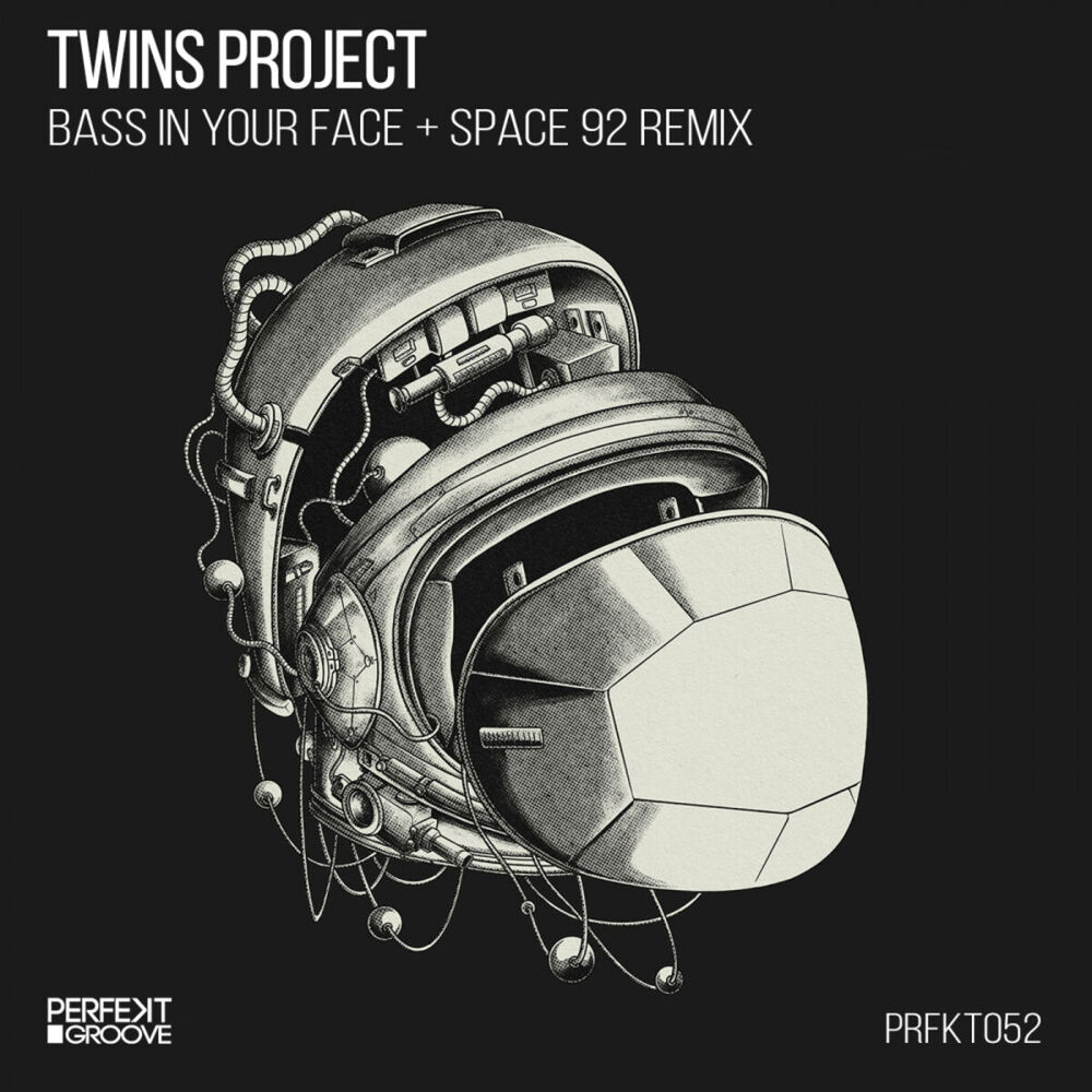 Picture of Twins Project