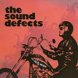 Picture of The Sound Defects
