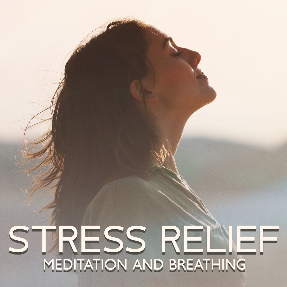 Picture of Soothing Music Collection