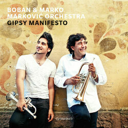 Picture of Boban & Marko Markovic Orchestra