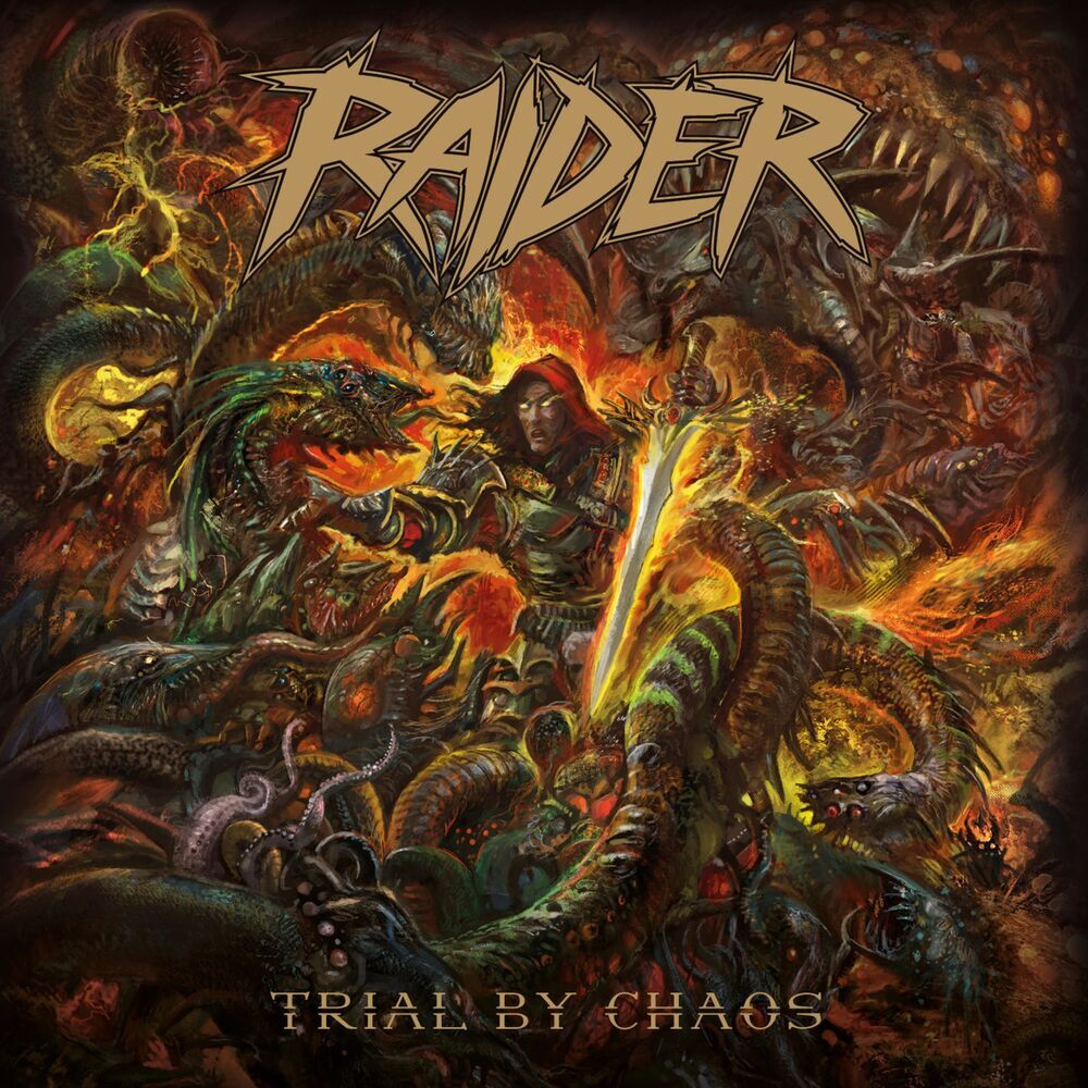 Picture of Raider