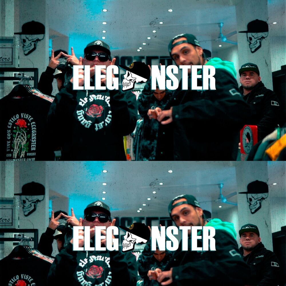 Picture of Eleganster Music