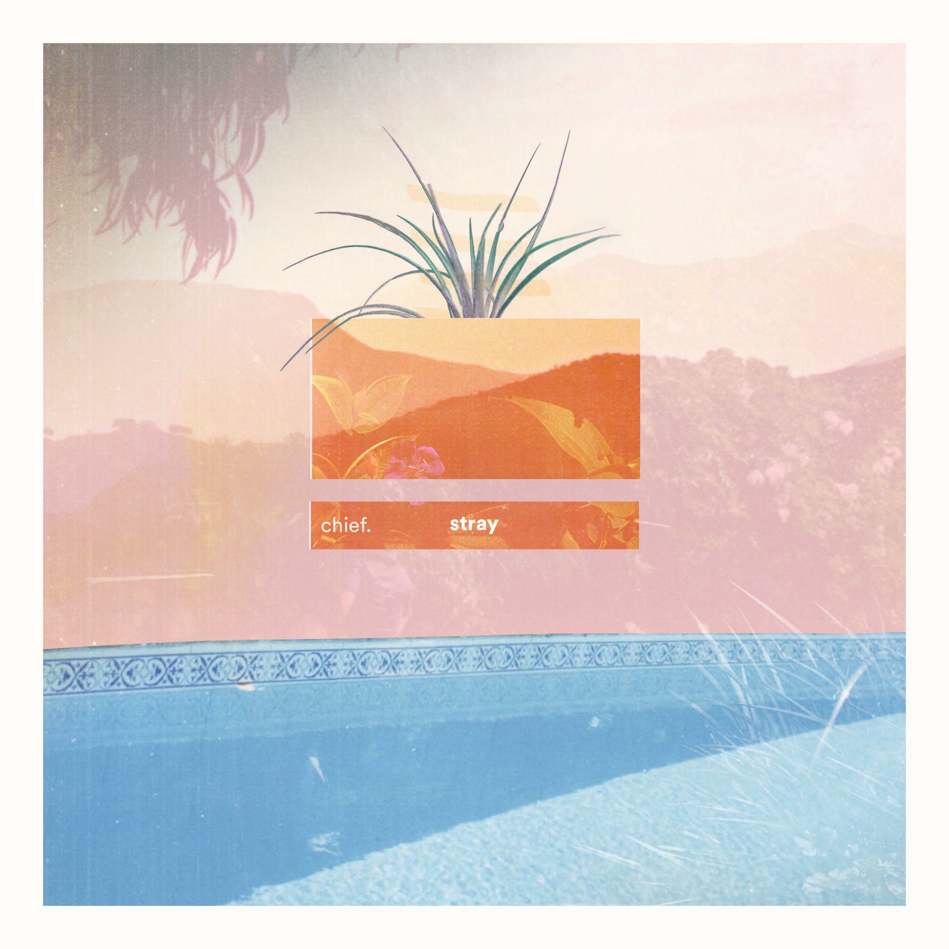 Artist picture of Chief.