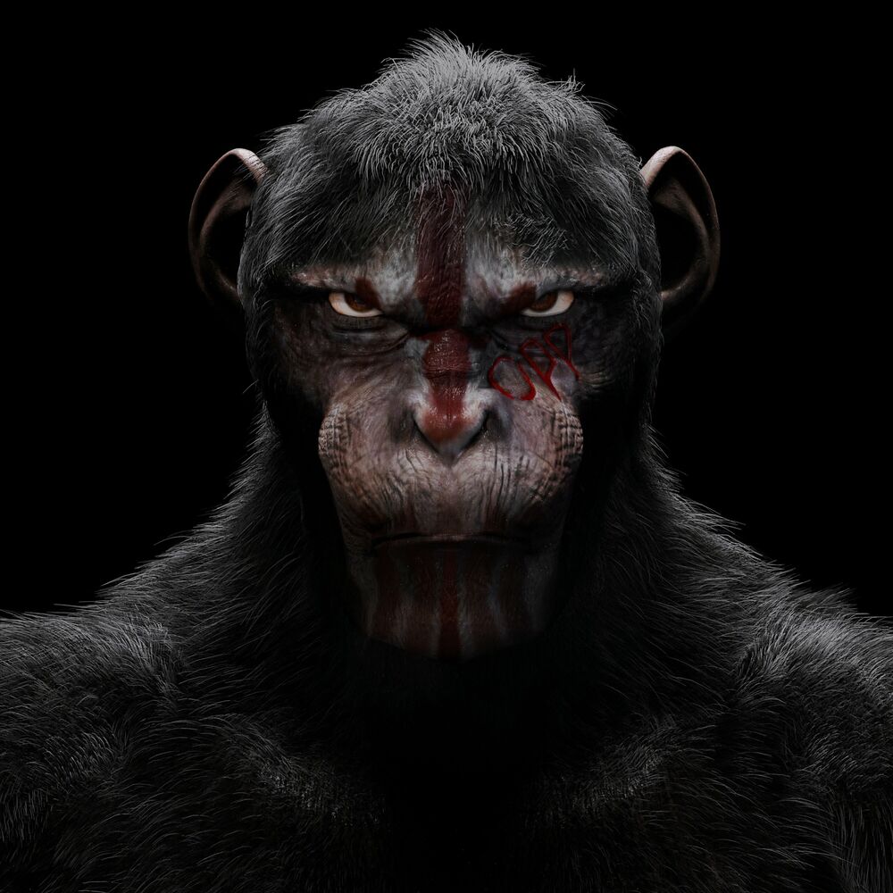 Picture of Def Prod