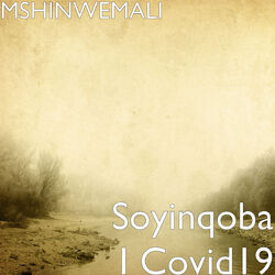 Picture of MSHINWEMALI