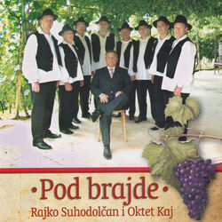 Picture of Rajko Suhodolcan