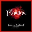 Plamina