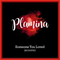 Picture of Plamina