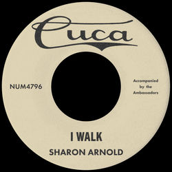 Sharon Arnold and the Ambassadors