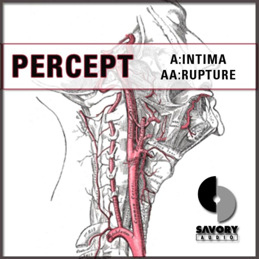 Picture of Percept