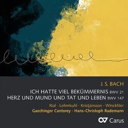 Picture of Gaechinger Cantorey