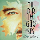 Yıldırım Gürses