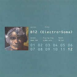 Picture of B12