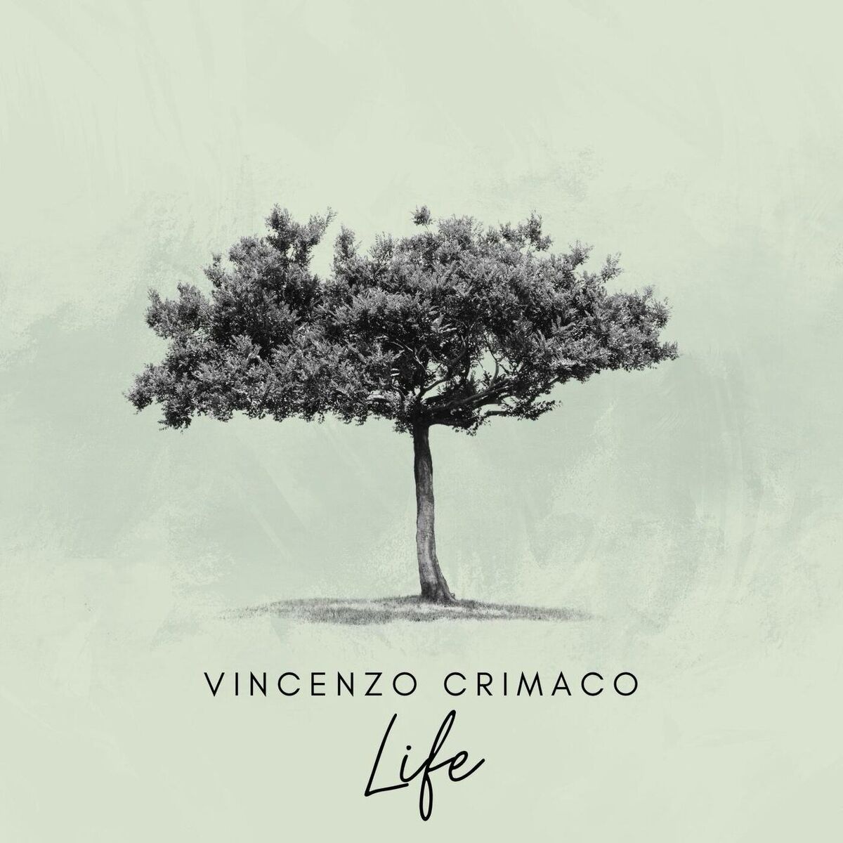 Vincenzo Crimaco