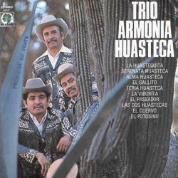 Picture of Trio Armonia Huasteca