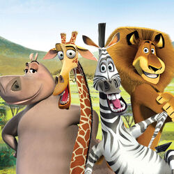Picture of Madagascar