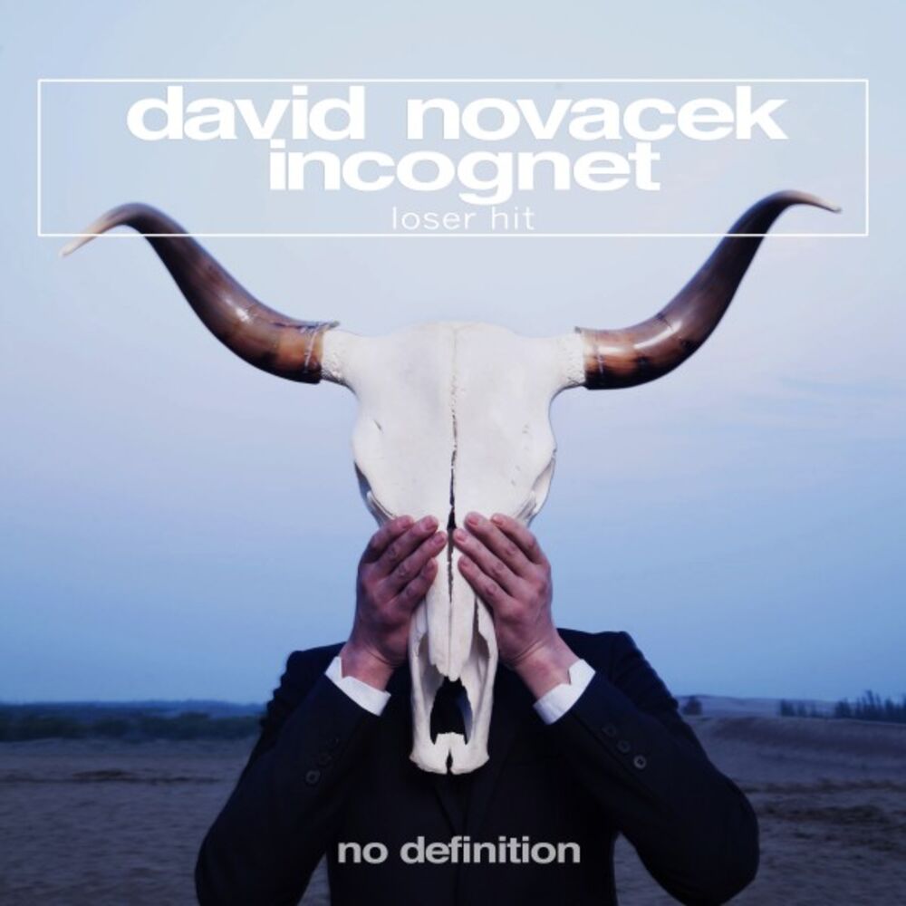 Picture of Incognet