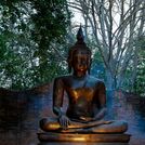 Buddha\'s Flute