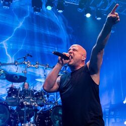 Picture of David Draiman