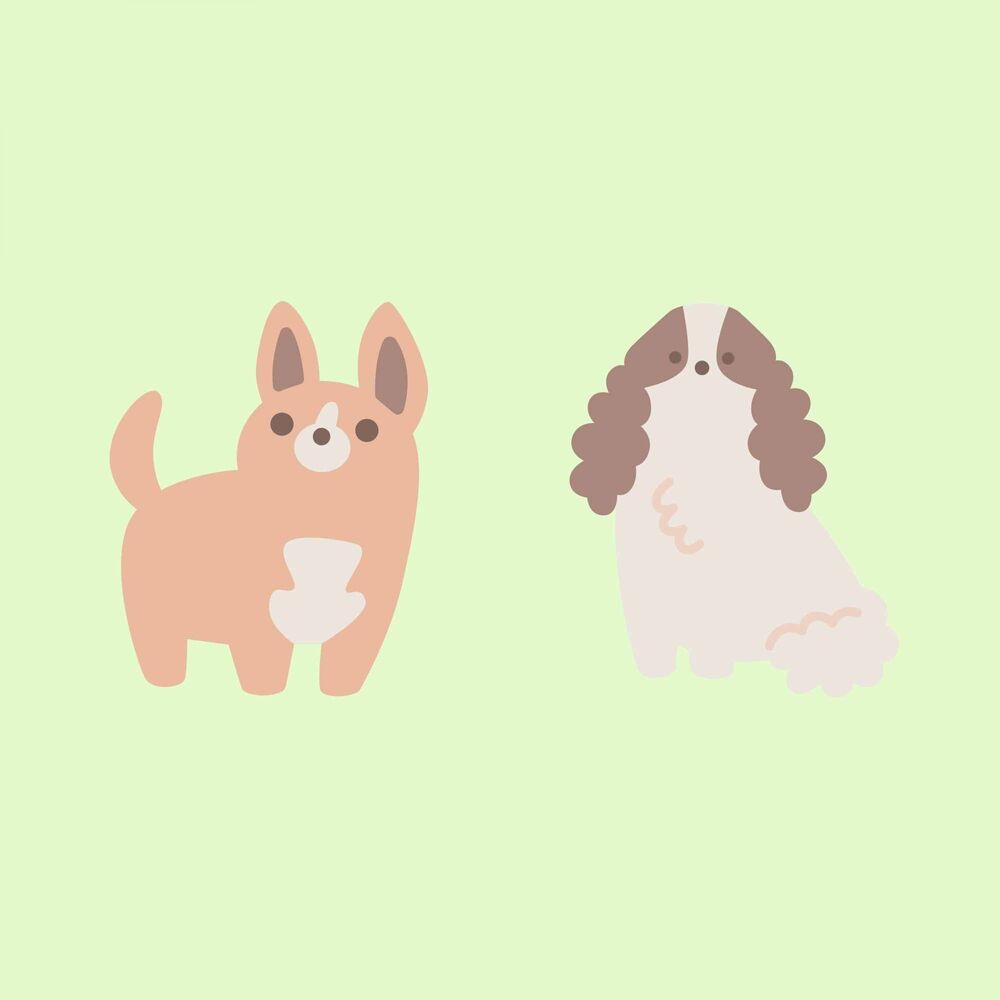 Picture of Doggy Music