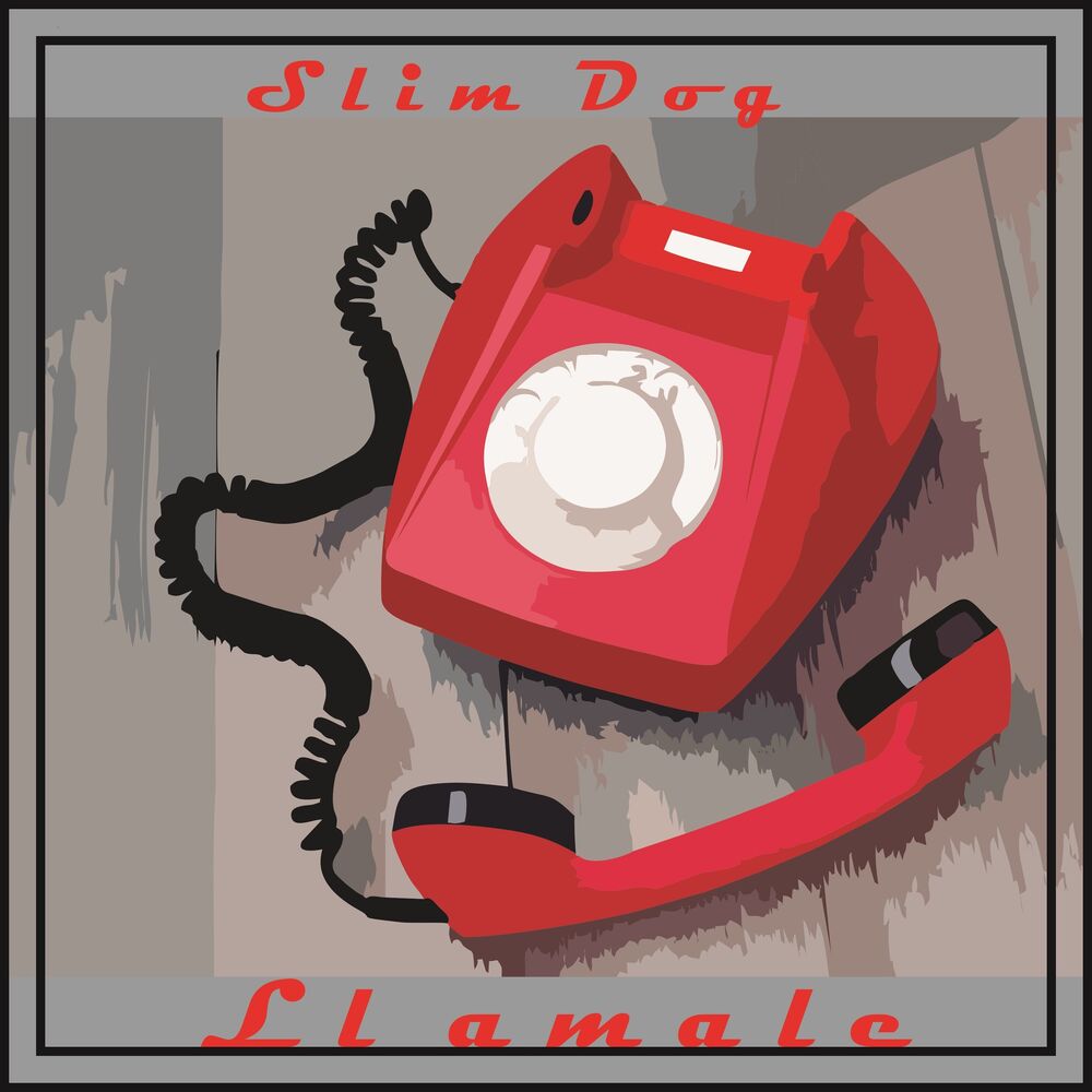 Picture of Slim Dog