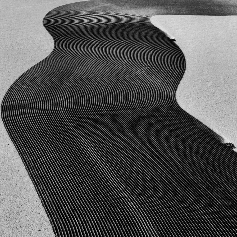Picture of Rainer Veil