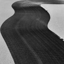 Picture of Rainer Veil