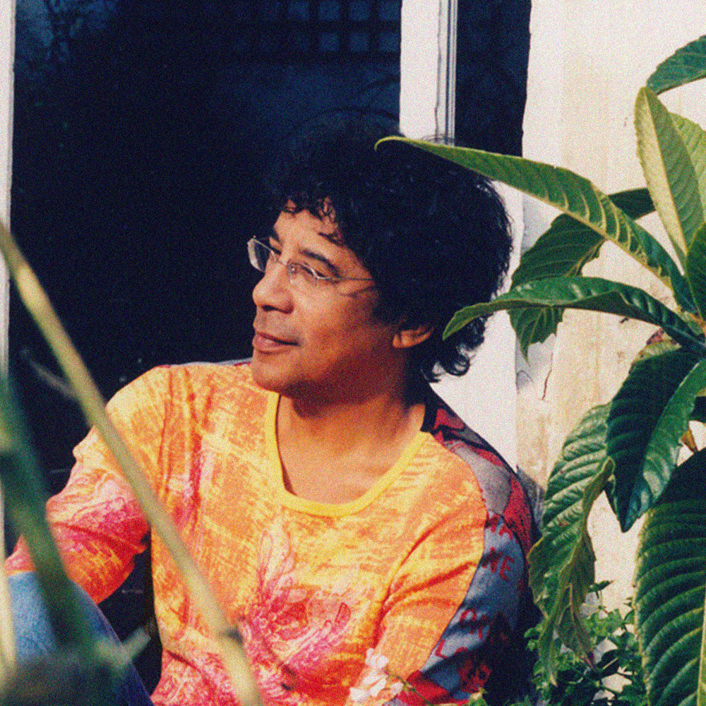 Photo de l'artiste Laurent Voulzy