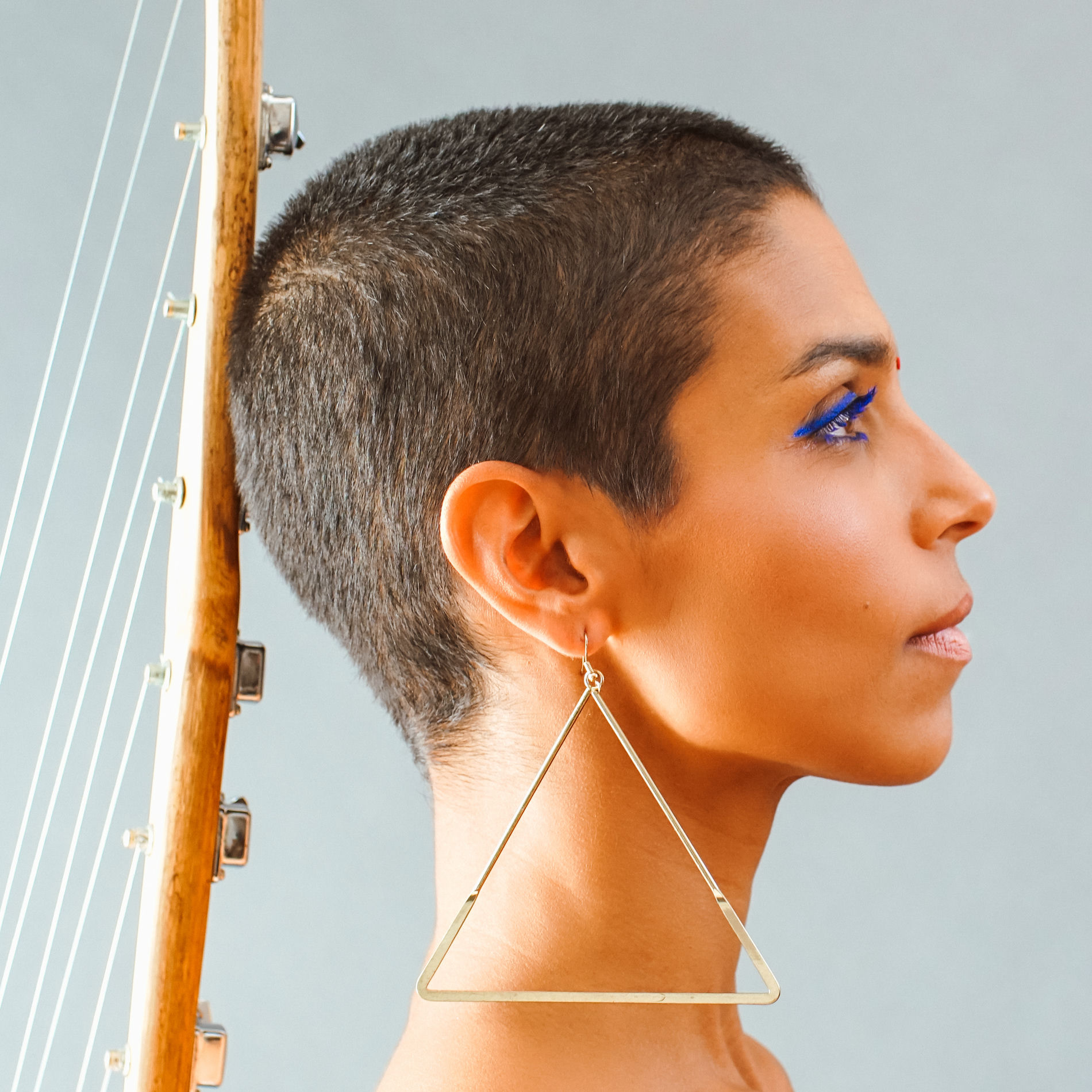 Artist picture of Siân Pottok