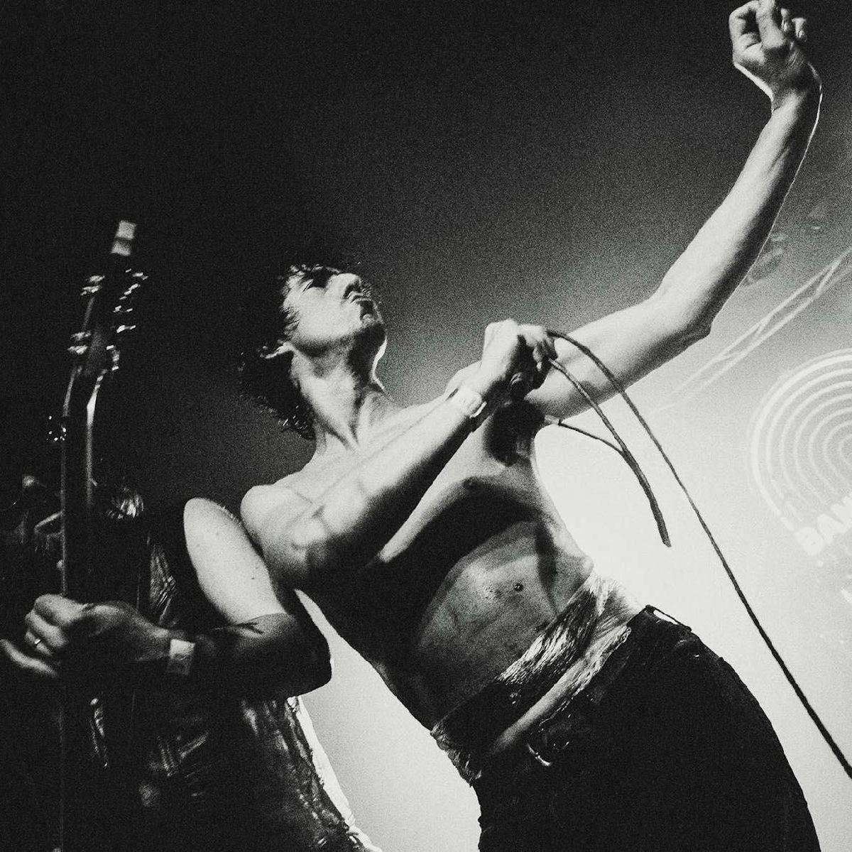 The Moonlandingz