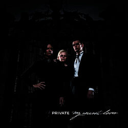 Picture of Private