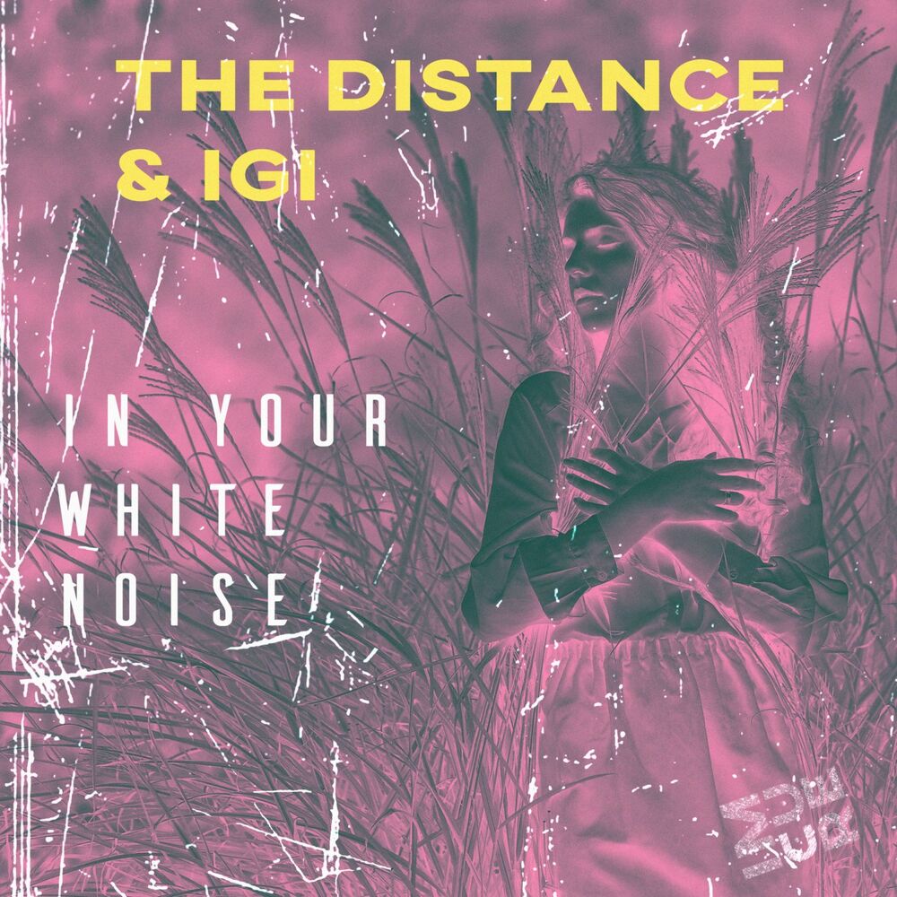 Picture of The Distance