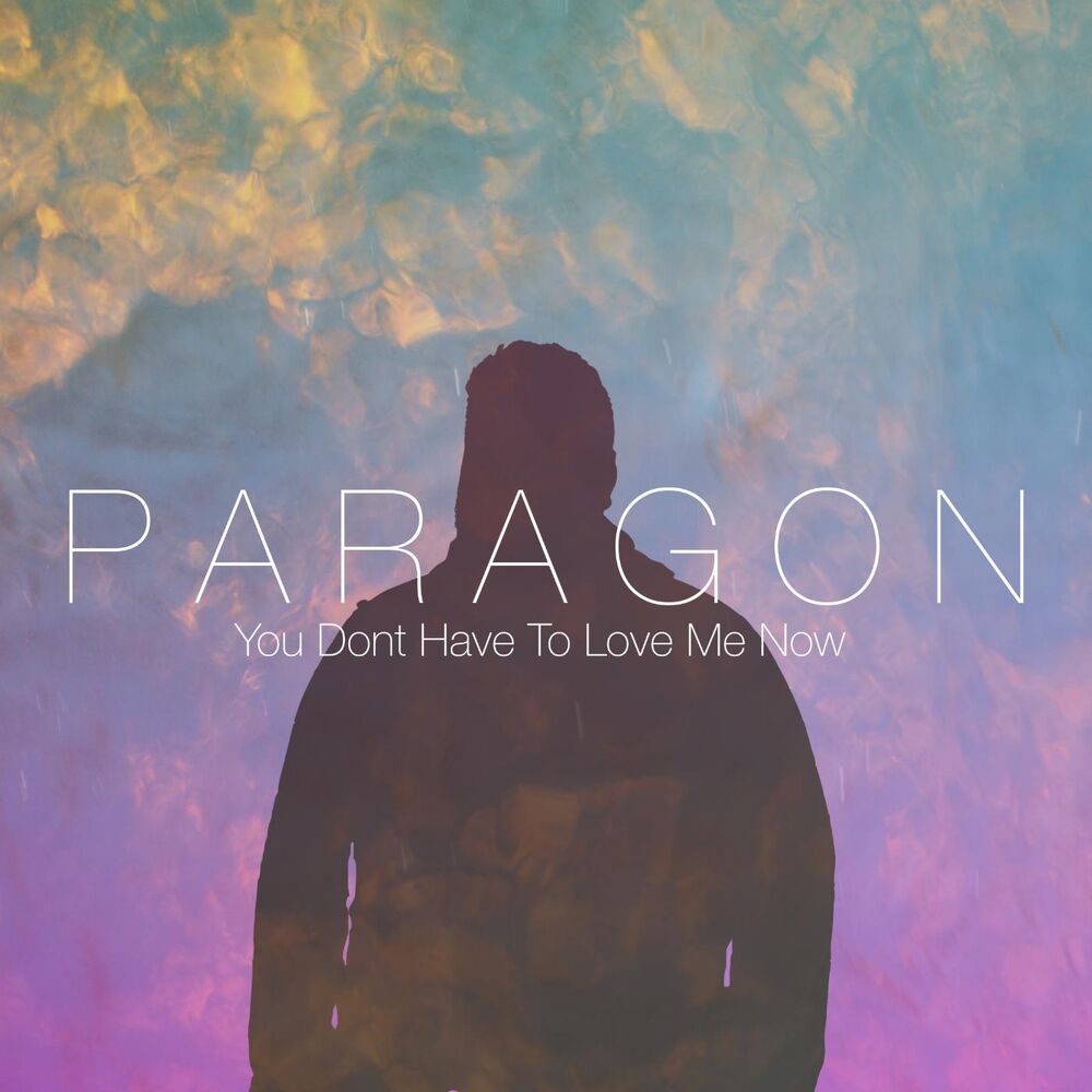 Picture of P a R a G O N