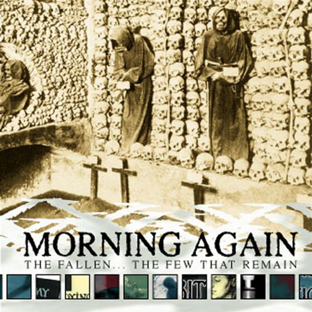 Picture of Morning Again