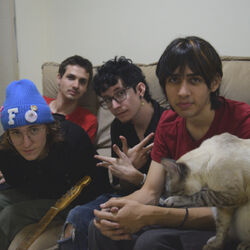 Picture of Chococorn and the Sugarcanes