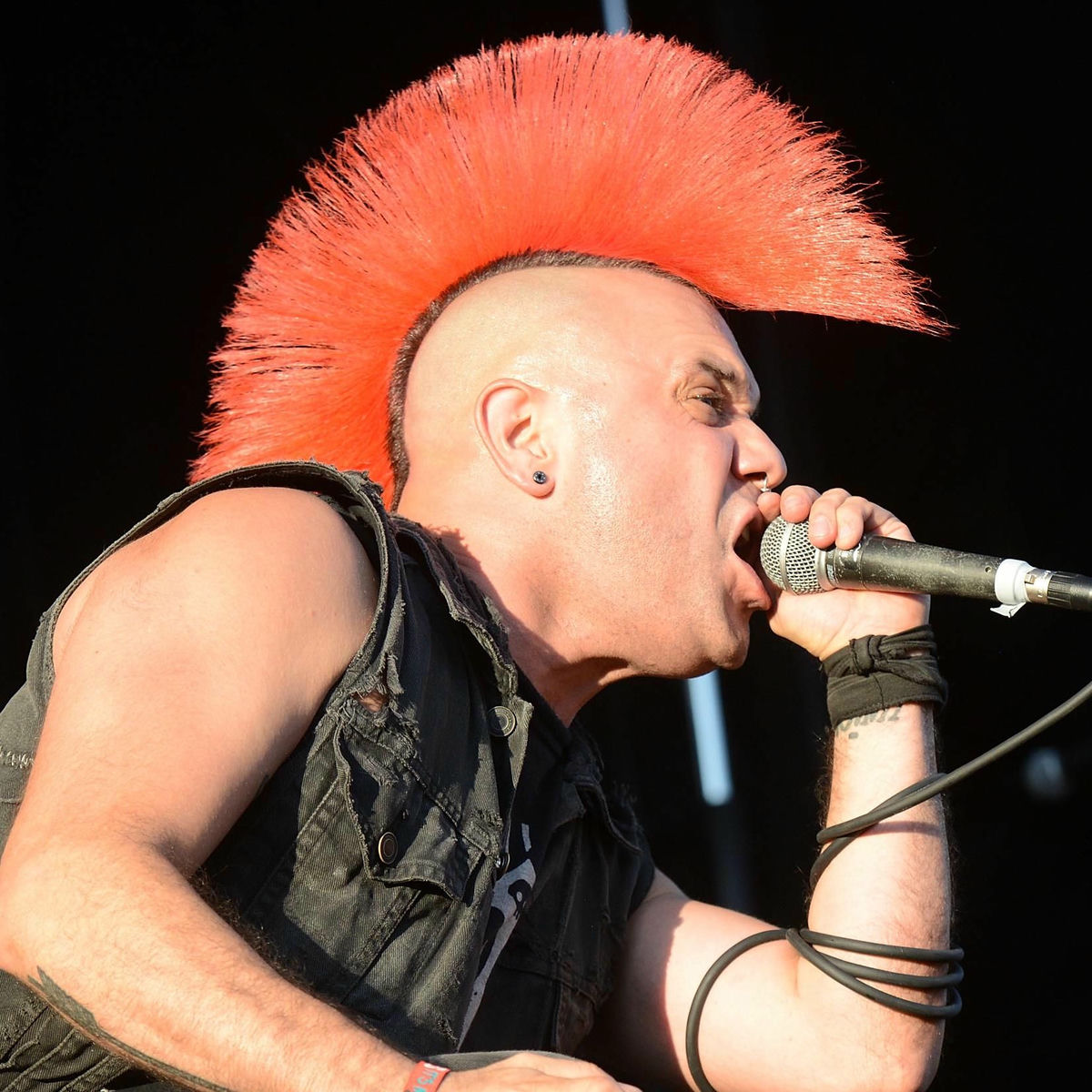 Artist picture of The Casualties