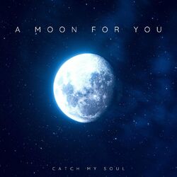 Picture of Catch My Soul