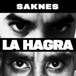 Picture of Saknes