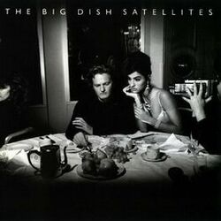 Picture of The Big Dish