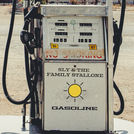 Sly & The Family Stallone