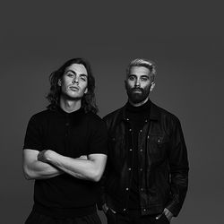 Picture of Yellow Claw