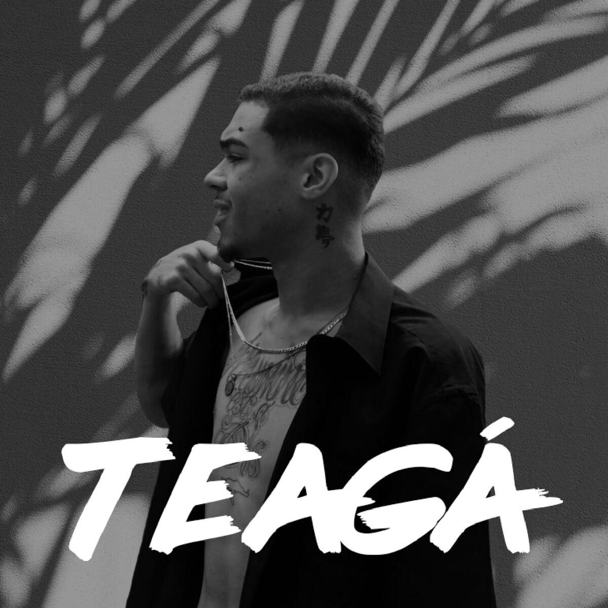 Artist picture of Teagá