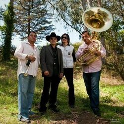 Picture of Nortec Collective