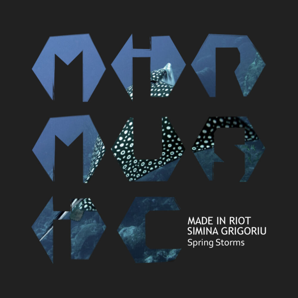 Picture of Made In Riot